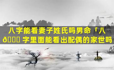 八字能看妻子姓氏吗男命「八 🕊 字里面能看出配偶的家世吗」